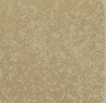 Swatch image