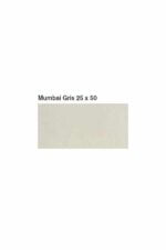 ΠΛΑΚΑΚΙ ΤΟΙΧΟΥ KOLOSSOS Mumbai Gris 25x50 cm