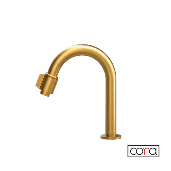Ρουξουνι φιλτρου (με διακοπτη) cora brushed gold - Image 1